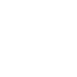 icons8-shopify-150