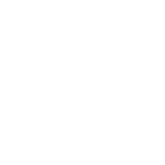 icons8-woocommerce-150