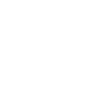 icons8-wordpress-150